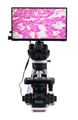Biologický digitální mikroskop MAGUS Bio D240T LCD