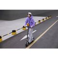 Ninebot by Segway KickScooter E3 Pro E
