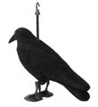 Model havrana HUTERMANN 2201 plast