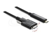 Delock Active Optical Cable USB 10 Gbps
