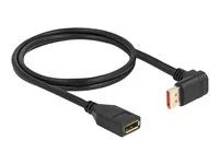 DisplayPort extension cable male 90° dow