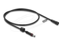 Delock - Prodlužovací šnura - DC jack 5.5 mm x 2.1 mm (M) ochranná cepka do DC jack 5.5 mm x 2.1 mm (F) se závitem - 12 - 24 V - 50 cm - cerná