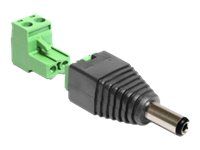 Adaptér napájení - svorkovnice se 2 piny (M) do DC jack 2.1 mm (M)