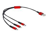 Kabel pouze pro nabíjení - USB s piny (male) do Lightning, USB-C s piny (male) - 30 cm - černá