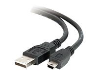 Kabel USB - USB (M) do mini-USB typ B (M) - USB 2.0 - 1 m