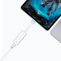TP-link UE300C, Síťová karta USB Type C / LAN