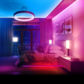 LED pásek PHENOM 55862 5m