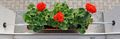 Držák květináče na parapet AGRO 95 - 185 cm