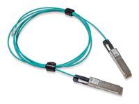 Kabel pro přímé připojení 200GBase-AOC - QSFP56 do QSFP56 - 5 m - 5 m - optické vlákno - Active Optical Cable (AOC)