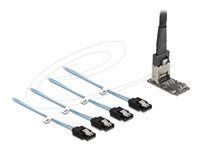 M.2 2242 Key B+M Controller to 4 x SATA
