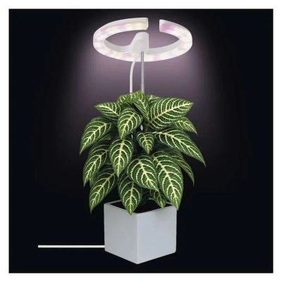 Rostoucí lampa EMOS Z7902 Grow 8W