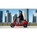 SEGWAY eScooter E110S, Elektrický skúter, šedý
