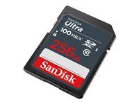 Paměťová karta flash - 256 GB - UHS Class 1 / Class10 - SDXC UHS-I