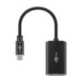 Adaptér GOOBAY 51773 USB-C/DisplayPort 0,2m
