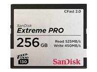 Paměťová karta flash - 256 GB - CFast 2.0