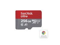 Paměťová karta flash (adaptér microSDXC na SD zahrnuto) - 256 GB - A1 / UHS Class 1 / Class10 - microSDXC UHS-I