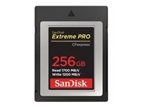Paměťová karta flash - 256 GB - CFexpress