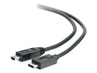 USB C Cable Black - USB kabel - mini-USB typ B (M) do USB-C (M) - USB 2.0 - 4 m - černá