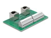 RJ45 2 x female to 2 x Terminal Block wi