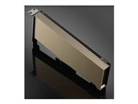 Grafický počítačový procesor - NVIDIA A2 Tensor Core - 16 GB GDDR6 - PCIe 4.0 x8 nízký profil - bez ventilátoru