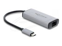 Delock - USB adaptér - USB-C (M) do RJ-45 (F) - 10 Gigabit Ethernet - antracit