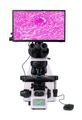 Biologický digitální mikroskop MAGUS Bio D260T LCD