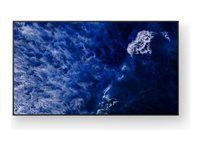 Sony Bravia Professional Displays FW-98BZ53L - 98" Třída úhlopříčky BZ53L Series displej LCD s LED podsvícením - digital signage - Android TV - 4K UHD (2160p) 3840 x 2160 - HDR - Direct LED - černá
