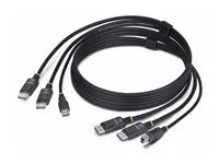 StarTech 6ft (1.8m) Dual-DisplayPort and USB 5Gbps KVM Cable - Kabel klávesnice / videa / myši (KVM) - USB typ A, DisplayPort (M) do USB Type B, DisplayPort (M) - 1.83 m - podpora 4K60Hz, podpora HDR10 - cerná