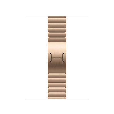 Watch Acc/42/Gold Link Bracelet