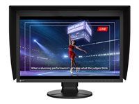 LED monitor - 24.1" - 1920 x 1200 - IPS - 400 cd/m² - 1800:1 - 11 ms - HDMI, DisplayPort