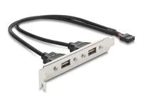 Delock - Panel USB - 9 pin USB 2.0 header (F) do USB (F) reverzní - 5 V - 500 mA - 30 cm - cerná