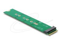 Delock - Adaptér rozhraní - M.2 Key M male to M.2 Key M slot - port saver and extension - M.2 22110 - M.2 Card - M.2 Card