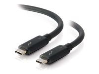 USB C Thunderbolt 3 Cable - 100W Power Delivery - 20Gbps - Black - M/M - Kabel Thunderbolt - USB-C (M) do USB-C (M) - USB 3.1 Gen 2 / Thunderbolt 3 / DisplayPort - 91.4 cm - podporuje 4K - černá