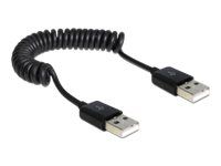 Kabel USB - USB (M) do USB (M) - USB 2.0 - 60 cm - svinutý - černá