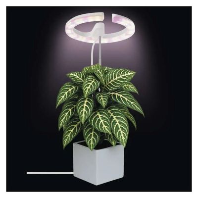 Rostoucí lampa EMOS Z7902 Grow 8W