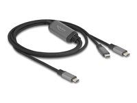 USB-C Y-Cable 1 x male to 2 x male PD 3