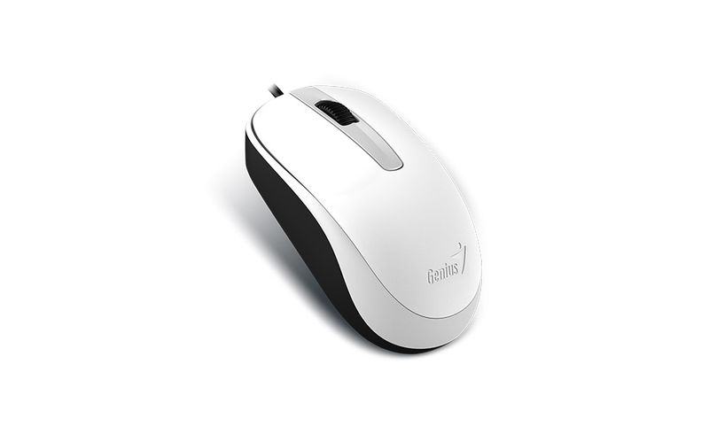 GENIUS DX-120/Kancelářská/Optická/1 200 DPI/Drátová USB/Bílá