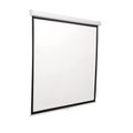 SBOX Projector SCREEN PSM-112 200x200 cm