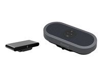 iiyama WP-MEET03M - Wireless presentation solution (hlasitý telefon, přijímač)