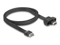 USB 10 Gbps Flat Cable Type-E Key A 20 p