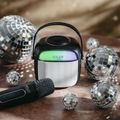 ADLER AD 1199B, Bluetooth karaoke reproduktor +mik
