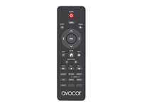 Remote AVE30A/AVE40 Series