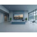 VIEWSONIC CDE5514-2C, LED Panel 55" 4K UHD