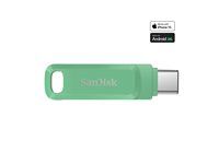 Jednotka USB flash - 256 GB - USB 3.2 Gen 1 / USB-C - zelená absinthe
