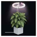 Rostoucí lampa EMOS Z7902 Grow 8W