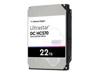 Pevný disk - 22 TB - interní - 3.5" - SATA 6Gb/s - 7200 ot/min. - vyrovnávací paměť: 512 MB - pro Intel Next Unit of Computing 13 Extreme Kit - NUC13RNGi7