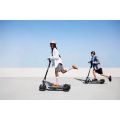 Ninebot by Segway KickScooter E3 Pro E