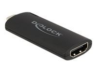 Adaptér pro zachytávání videa - USB-C 2.0 - černá