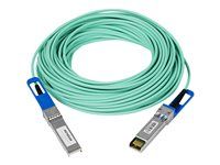 Kabel 10GBase pro přímé připojení - SFP+ (M) do SFP+ (M) - 20 m - 20 m - optické vlákno - aktivní