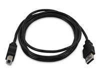 10ft 3m USB-A to B Cable TAA - SKUSBAB10-TAA